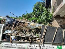 Professional Junk Removal Services in Riverside, AL